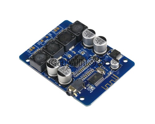 30w 12v 24v tpa3118 - 12v,